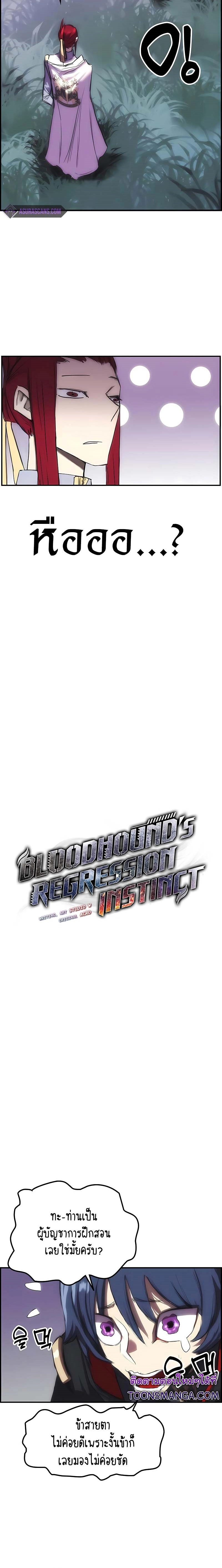 Bloodhound’s Regression Instinct 13 02