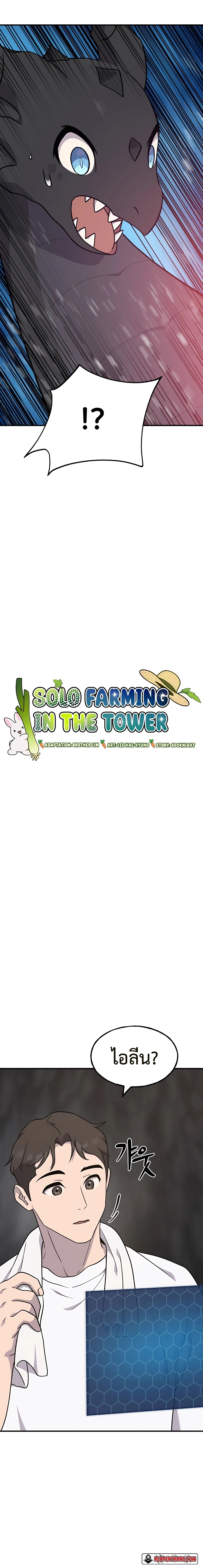 Solo Farming In The Tower 45 (2)